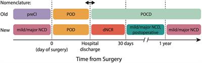 Mitigation of perioperative neurocognitive disorders: A holistic approach